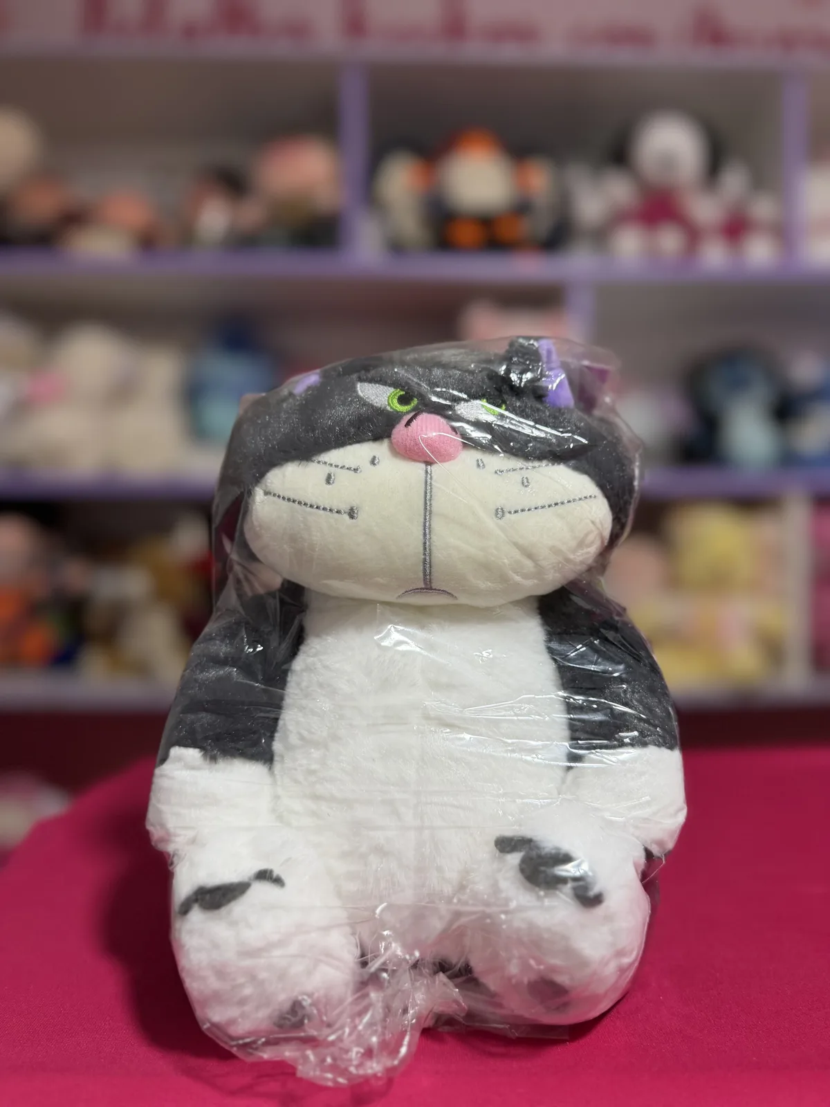 PELUCHE GATO LUCIF- 22x13 cm BLANCO Y NEGRO